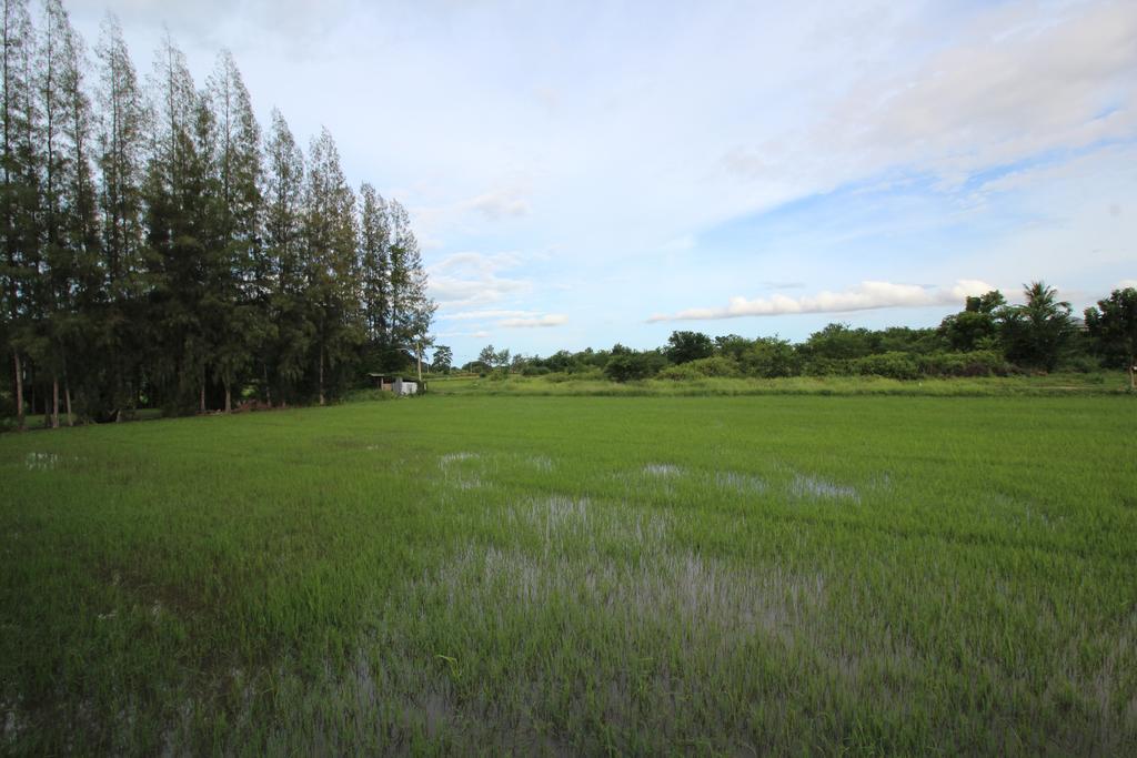 On Green Resort Ban Huai Sua Exterior photo